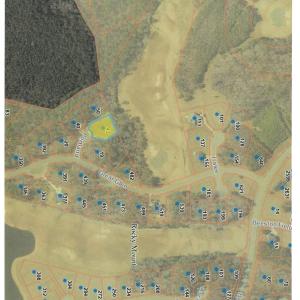 43 Portland, Aerial GIS JPEG