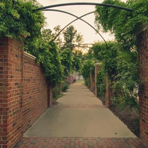 Lovely brick walk ways
