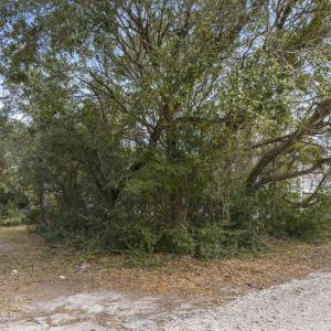 mls-SW Corner - Low 1