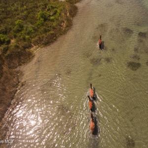 30-web-or-mls-Cape Lookout & Harkers 5