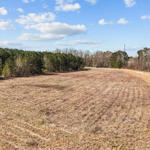 Cleared Property