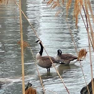 428623462_1171106770895387_3910569640236