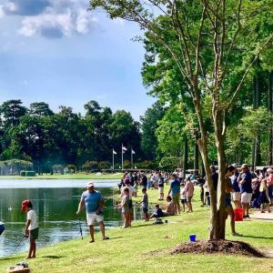 428626165_1171106360895428_4287923690785