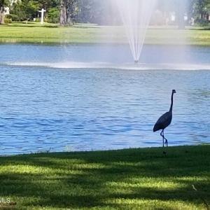 428619344_1171105564228841_1193353367657