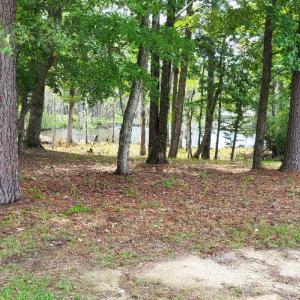 Photo #3 of 113 Fork, Hertford, NC 0.6 acres
