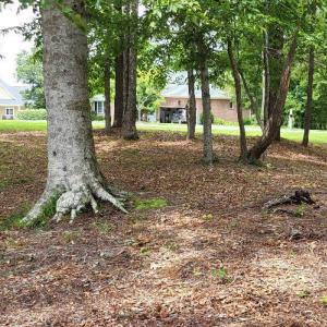Photo #4 of 113 Fork, Hertford, NC 0.6 acres