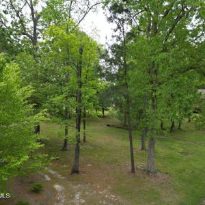 DJI_0455