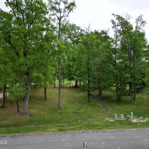 DJI_0452