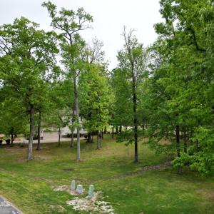 DJI_0461