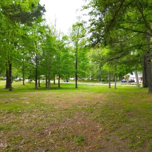 DJI_0484
