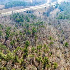 RS 1 DJI_0346-Enhanced-NR