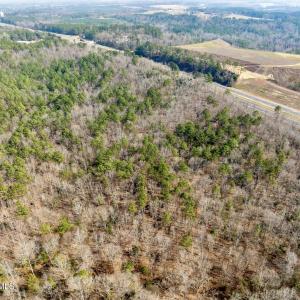 RS 1 DJI_0344-Enhanced-NR