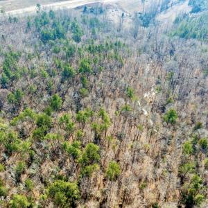 RS 1 DJI_0347-Enhanced-NR