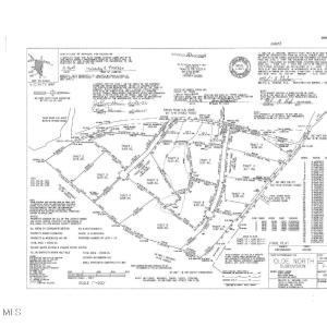 olde north survey