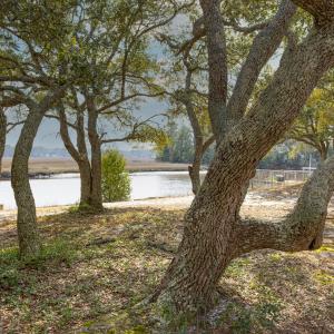 Currituck-11