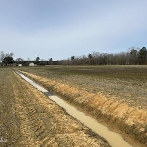 IMG_5784