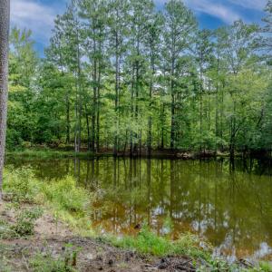 30peachblossompond
