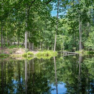 30peachblossompond2