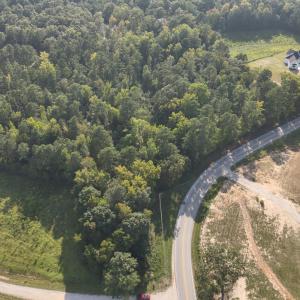dronepic16resized