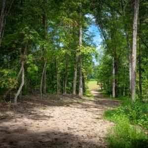 30peachorchardnewdrivewaylookingdowntope