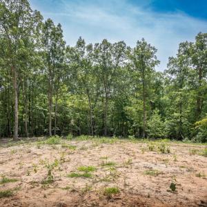 30peachblossomrightrearpotentialhomesite