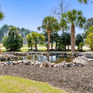 Convnetion Ctr.-View