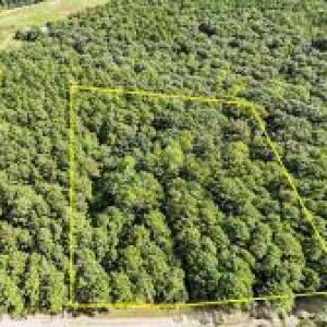 Lot 7 Equestrian Lane