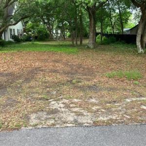 pic1