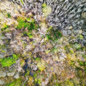 DJI_0654