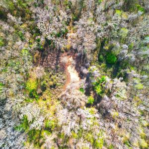 DJI_0656