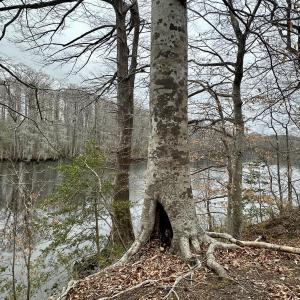 IMG_7299