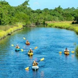 Kayakers in OKI (2)