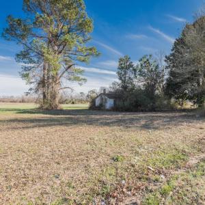 10) 55080-67df5702e4bb0