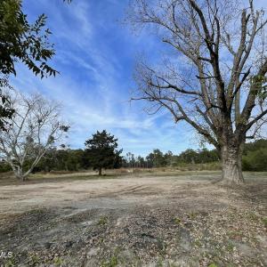Commercial Property