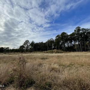 Commercial Property
