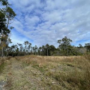 Commercial Property