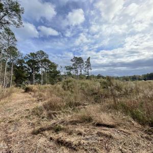 Commercial Property