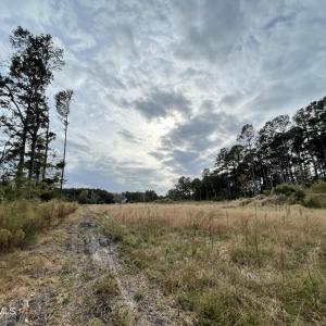 Commercial Property