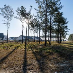 Lot 244 MLS-14