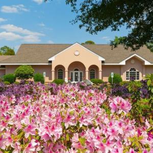 sea-trail-plantation-pink-palace