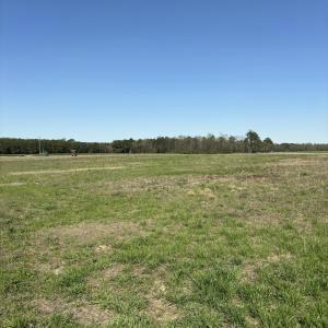 Farm Field