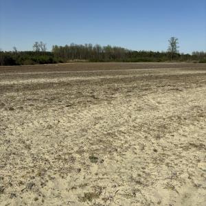 Farm Field