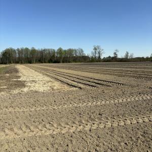 Farm Field
