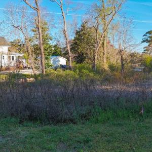 4326 Lauralis Bluff-6