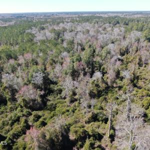 DJI_0631