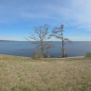 Panoramic View