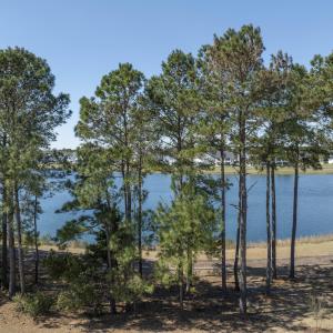 178 Spicer Lake - Aerials - Edited_11