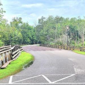 21620250113232704514468000000-o