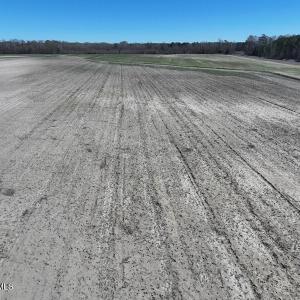 DJI_20250322145529_0513_D