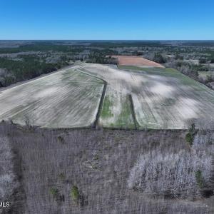 DJI_20250322143408_0499_D